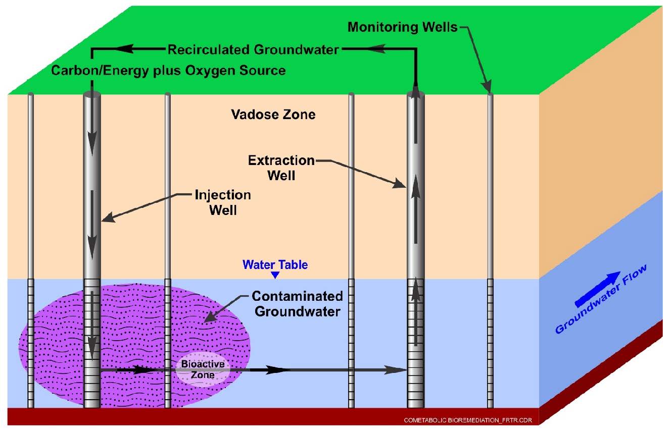 bioremediation examples