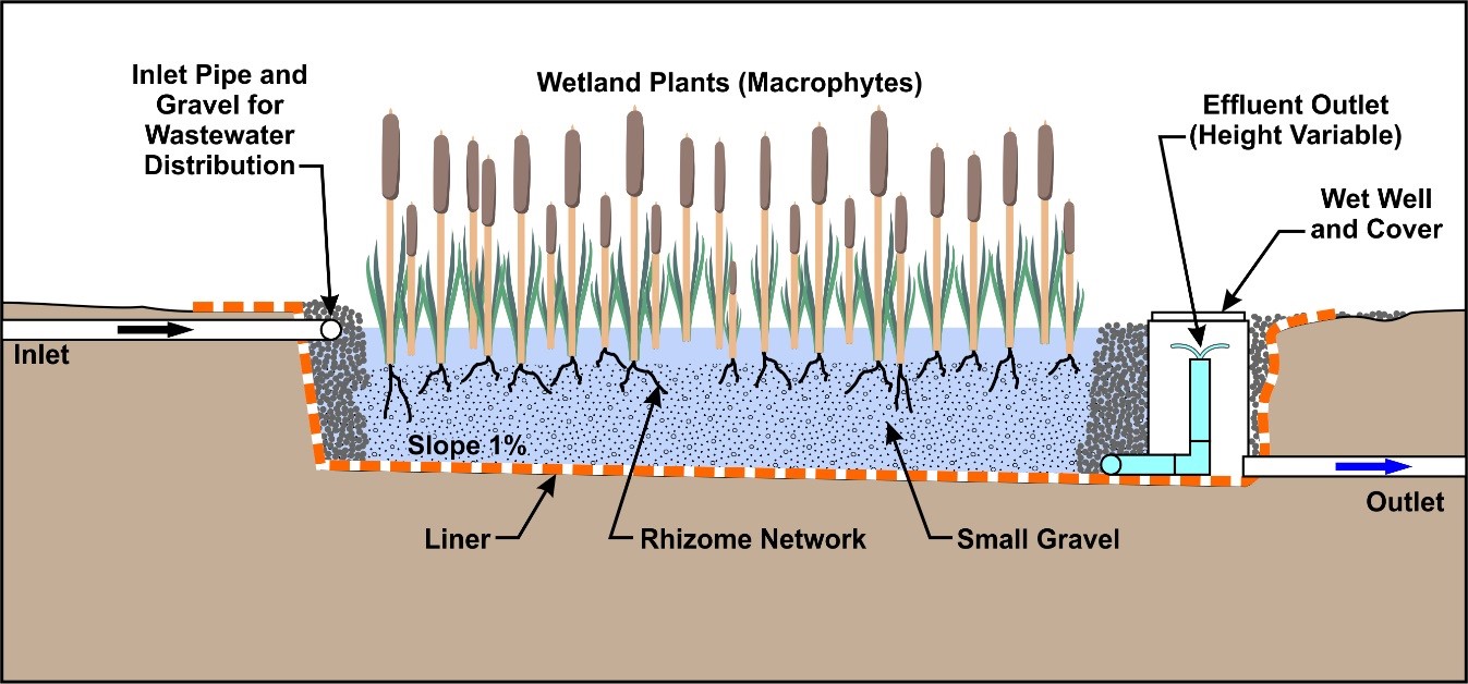constructed wetlands diagram