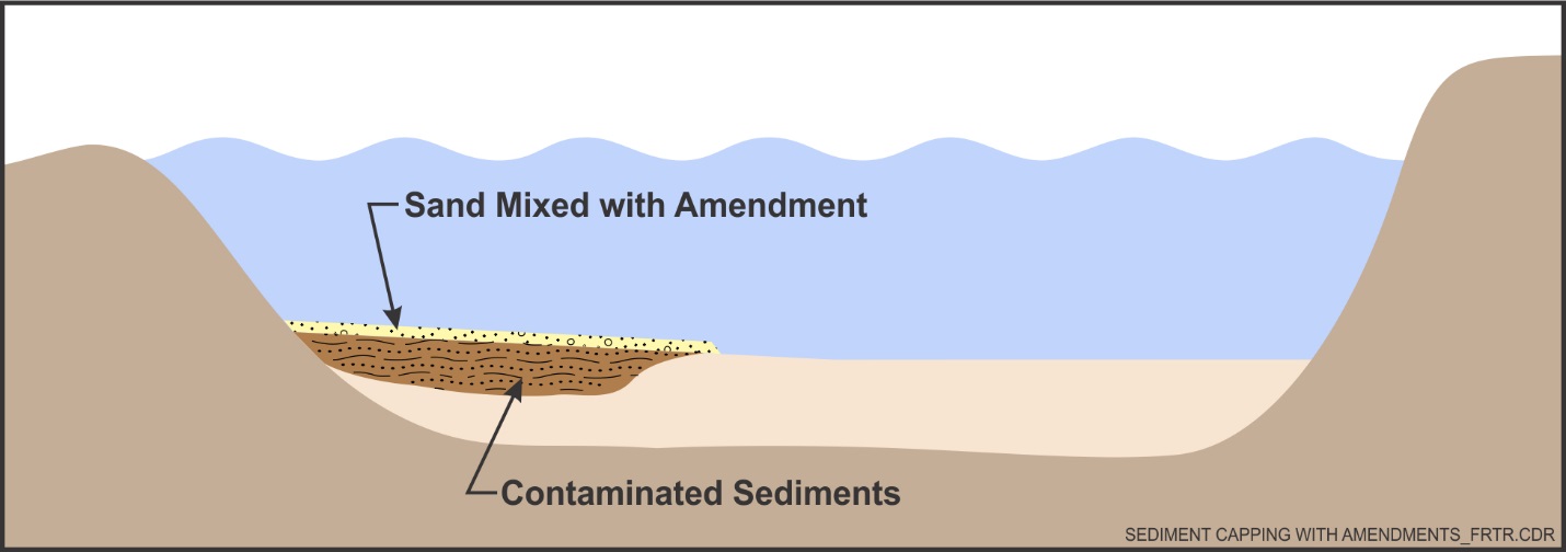 Cross Section of Sediment Capping with Amendments